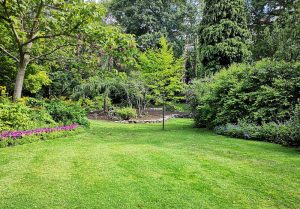 Optimiser l'expérience du jardin à Colonard-Corubert